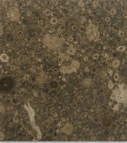 Ochanic Marble stone sample